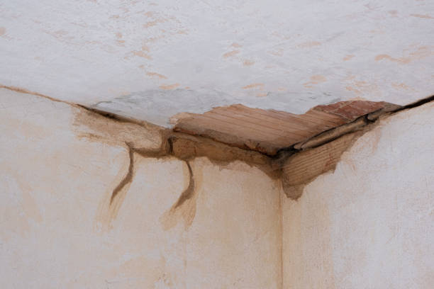 Best Ceiling water damage repair  in North Terre Haute, IN