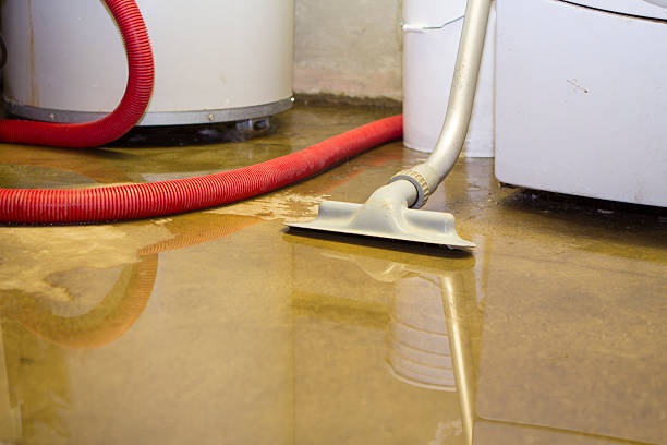 Best 24/7 water damage repair  in North Terre Haute, IN